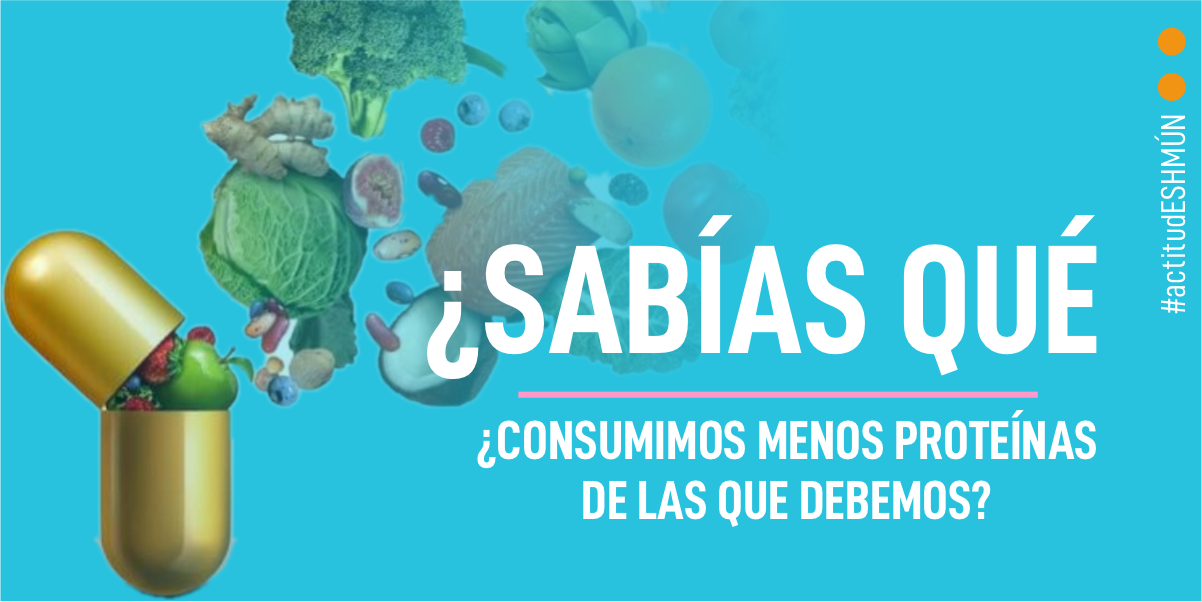 Lee más sobre el artículo ¿Sabías que… consumimos menos proteinas de las que debemos?
