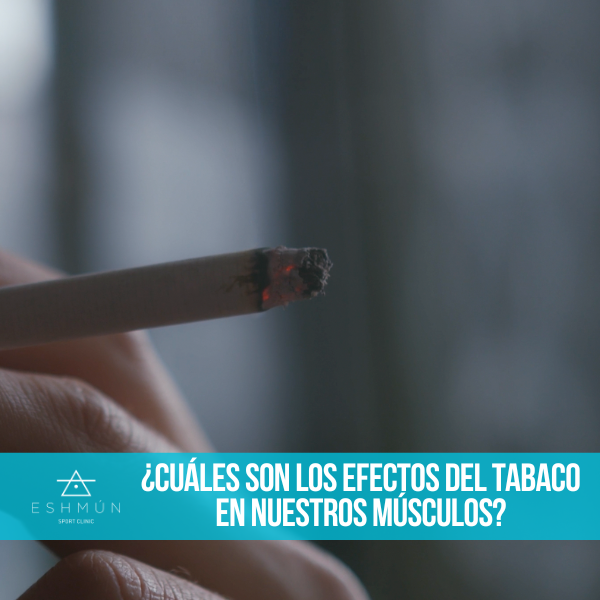¿Cuáles son los efectos del tabaco en nuestros músculos?