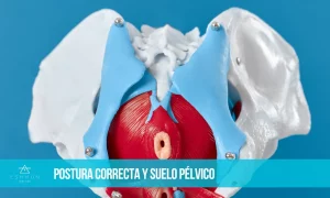 Lee más sobre el artículo Postura corporal y suelo pélvico
