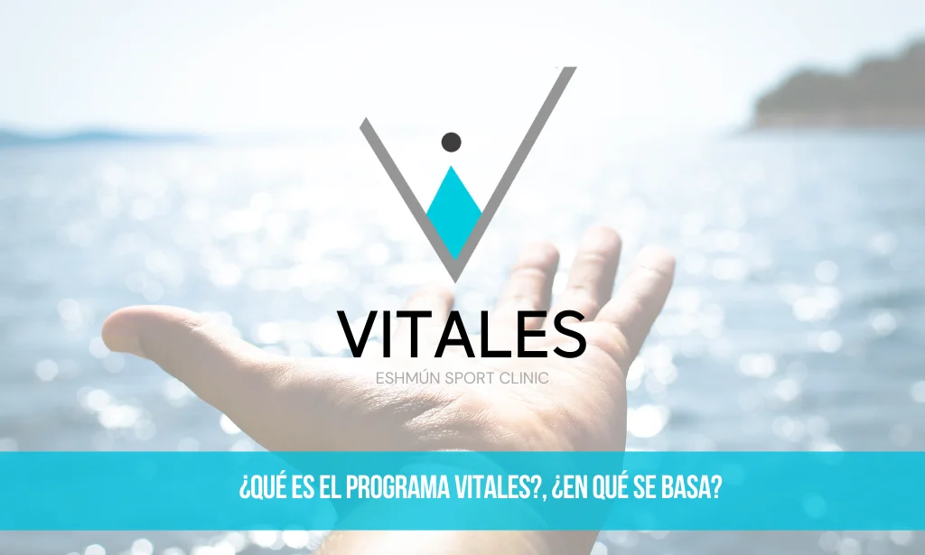 Lee más sobre el artículo ¿Qué es el programa Vitales?. ¿En qué se basa?