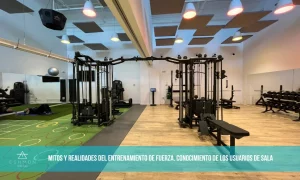 Lee más sobre el artículo Mitos  del entrenamiento de fuerza. Conocimiento de los usuarios de sala