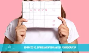 Lee más sobre el artículo Beneficios del entrenamiento durante la perimenopausia