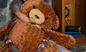 teoría del apego